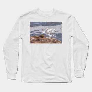 Angry Egret by Debra Martz Long Sleeve T-Shirt